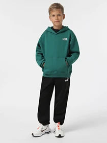 Худи и свитшоты The North Face Teen Essential модель NF0A89HANL11 Фото