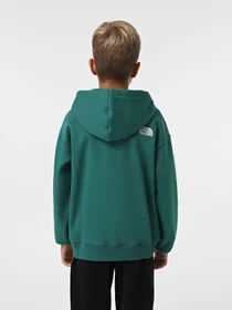 Худи и свитшоты The North Face Teen Essential модель NF0A89HANL11 Фото