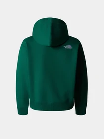 Худи и свитшоты The North Face Teen Essential модель NF0A89HANL11 Фото