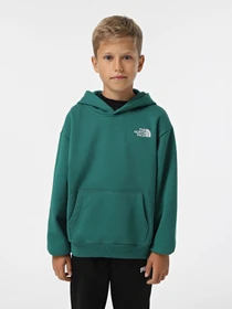 Худі та світшоти The North Face Teen Essential модель NF0A89HANL11 Фото