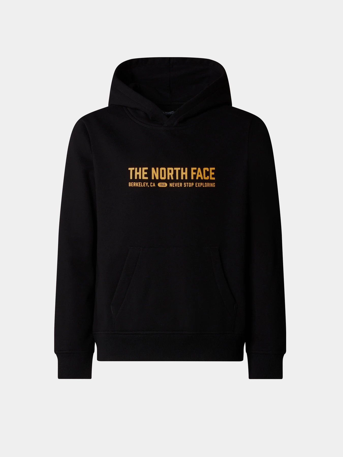 Худі та світшоти The North Face Graphic модель NF0A89HBJK31 Фото