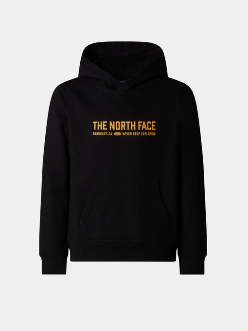 Худі та світшоти The North Face Graphic модель NF0A89HBJK31 Фото