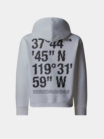 Худи и свитшоты The North Face Coordinates Graphic модель NF0A89HKFN41 Фото