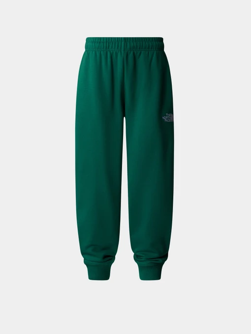 Штани The North Face Teen Essential модель NF0A89HUNL11 Фото