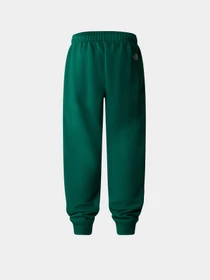 Брюки The North Face Teen Essential модель NF0A89HUNL11 Фото