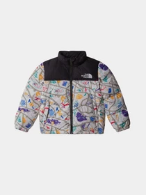Куртки и дубленки The North Face 1996 Retro Nuptse модель NF0A82TS4FO1 Фото
