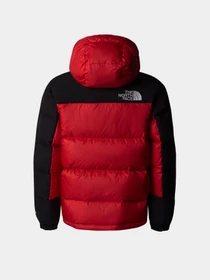 Куртки та дублянки The North Face Hmlyn Down модель NF0A88UY6821 Фото
