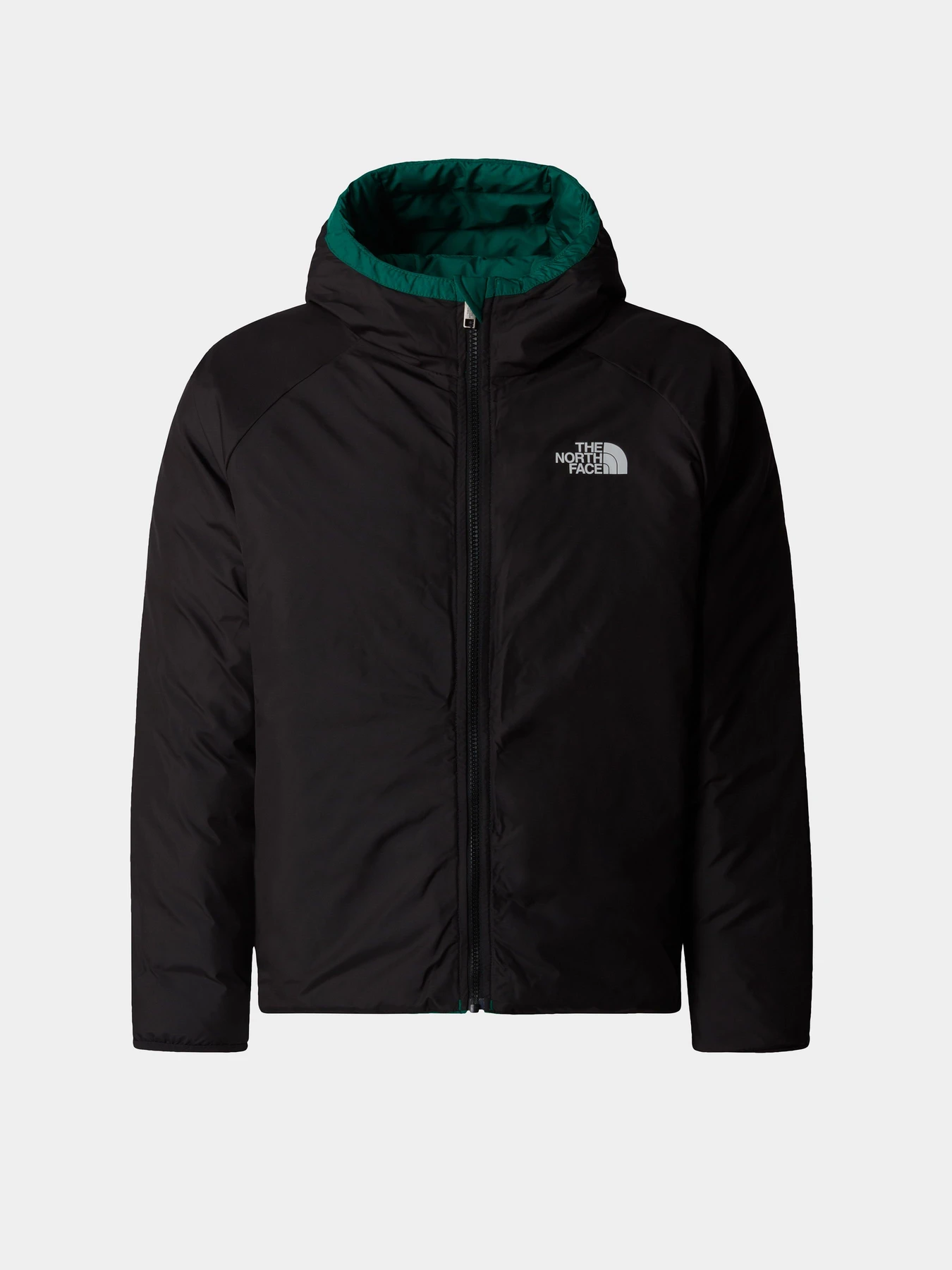 Куртки и дубленки The North Face Reversible Hooded модель NF0A88TWNL11 Куртки и дубленки The North Face Reversible Hooded модель NF0A88TWNL11 Фото