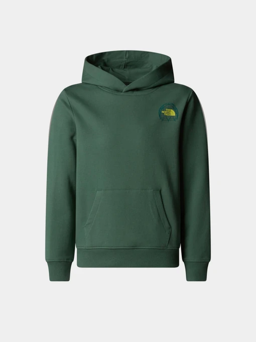 Худи и свитшоты The North Face Graphic Relaxed модель NF0A8AXTHCH1 Фото
