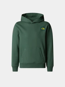 Худи и свитшоты The North Face Graphic Relaxed модель NF0A8AXTHCH1 Фото