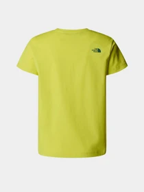 Футболки і поло The North Face Graphic Relaxed S/S модель NF0A8AXGJE31 Фото