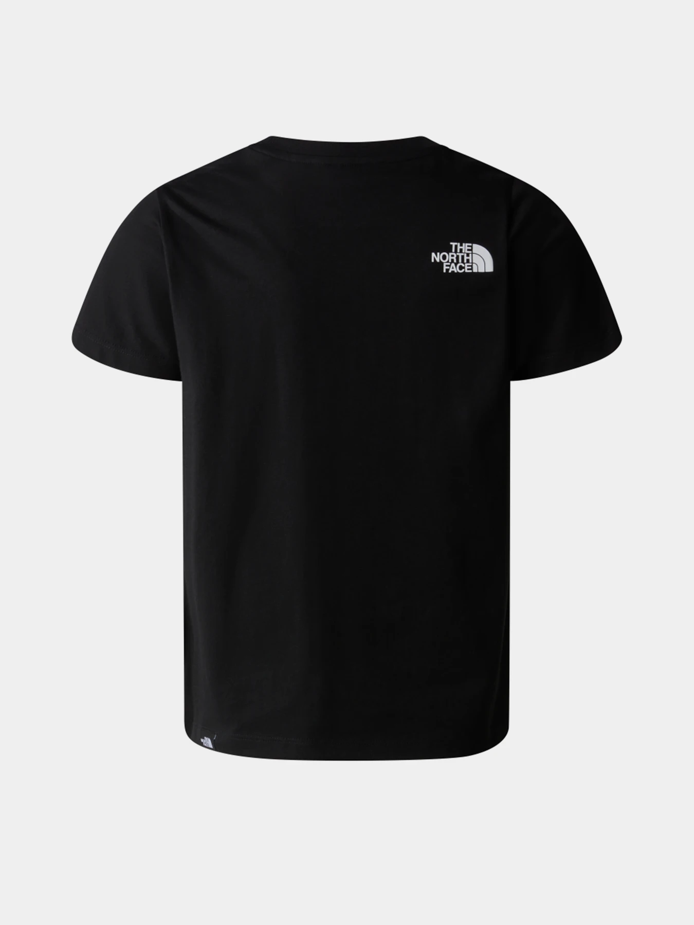 Футболки и поло The North Face Teen S/S Simple Dome модель NF0A8DRPJK31 Футболки и поло The North Face Teen S/S Simple Dome модель NF0A8DRPJK31 Фото