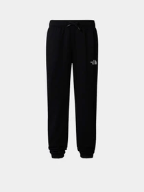 Брюки The North Face Teen Regular Tapered модель NF0A8BHTJK31 Фото