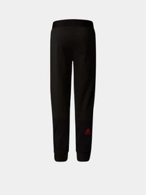 Брюки The North Face Mountain Athletics модель NF0A89HWKY41 Фото
