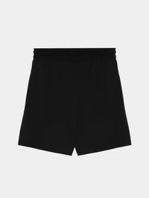 Шорты The North Face Never Stop модель NF0A86U4JK31 Фото