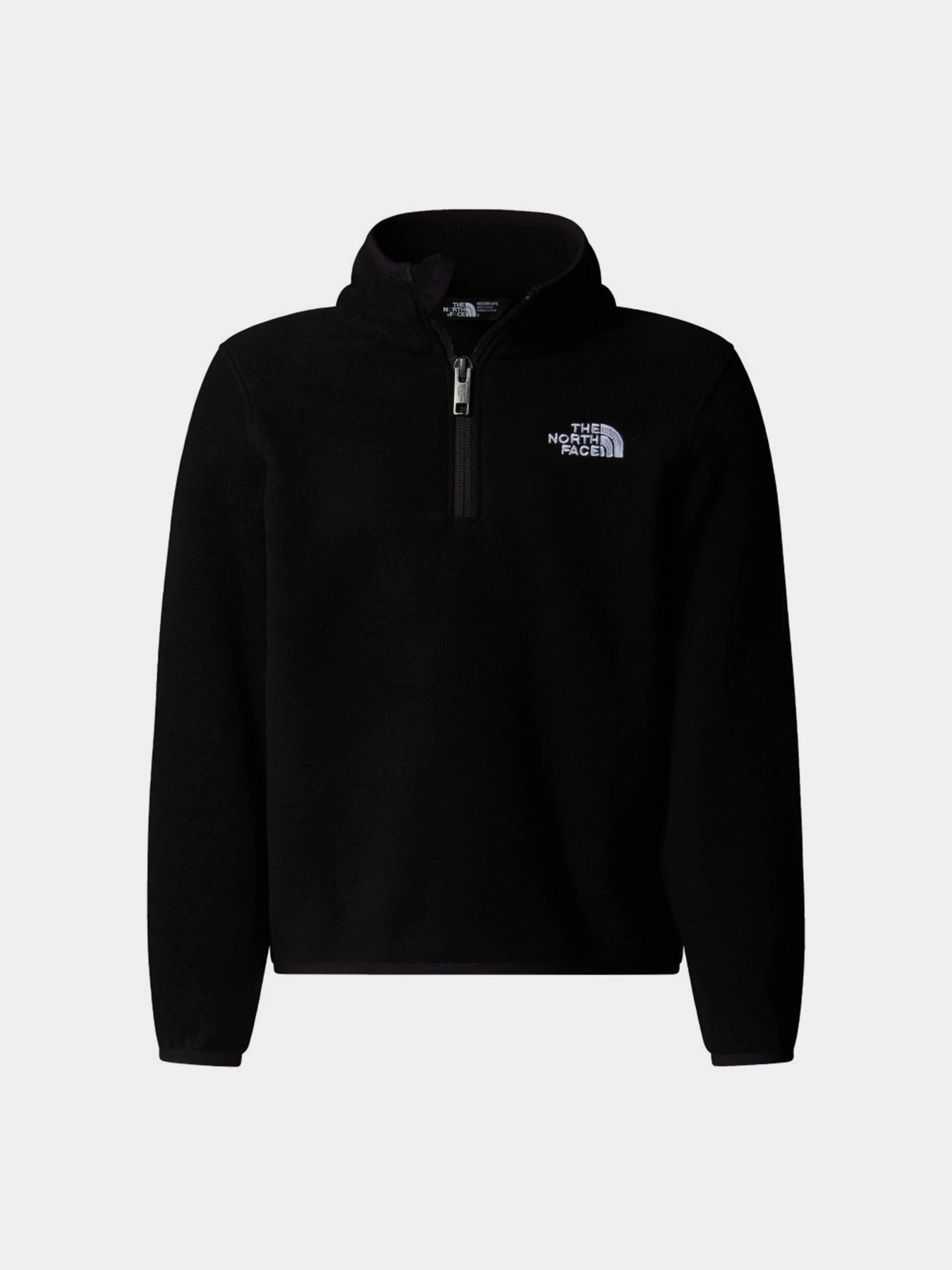 Худи и свитшоты The North Face Glacier модель NF0A8CVJJK31 Худи и свитшоты The North Face Glacier модель NF0A8CVJJK31 Фото