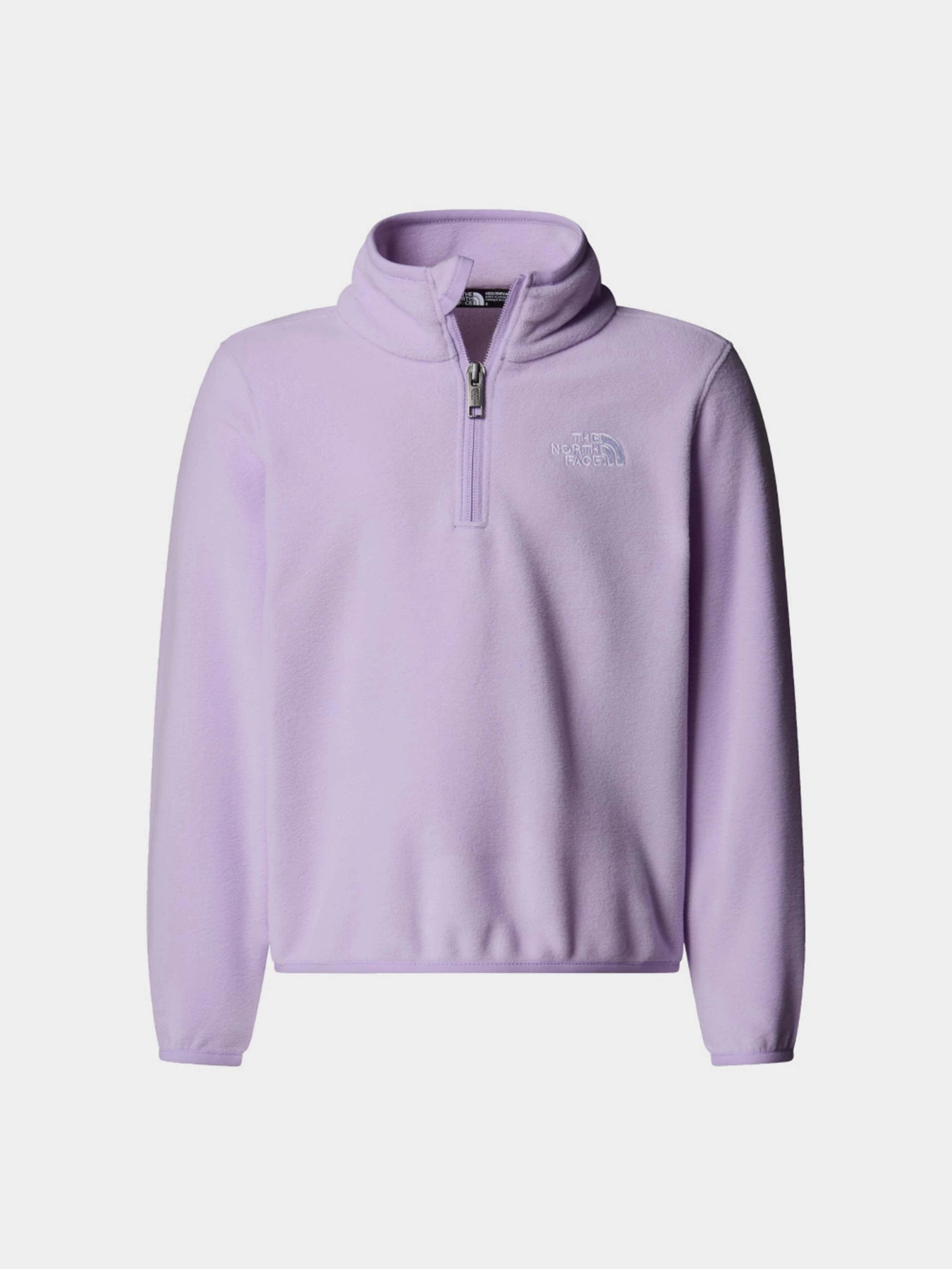 Худи и свитшоты The North Face Glacier модель NF0A8CVJQZI1 Худи и свитшоты The North Face Glacier модель NF0A8CVJQZI1 Фото