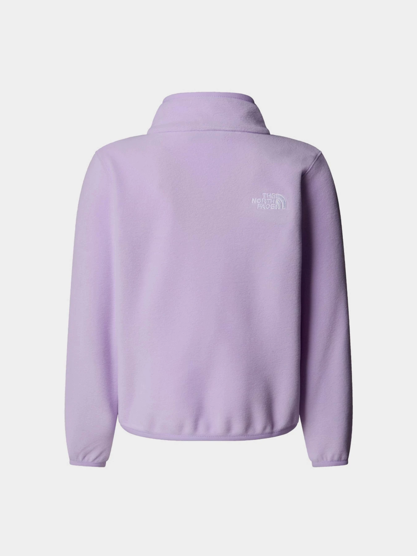 Худи и свитшоты The North Face Glacier модель NF0A8CVJQZI1 Худи и свитшоты The North Face Glacier модель NF0A8CVJQZI1 Фото