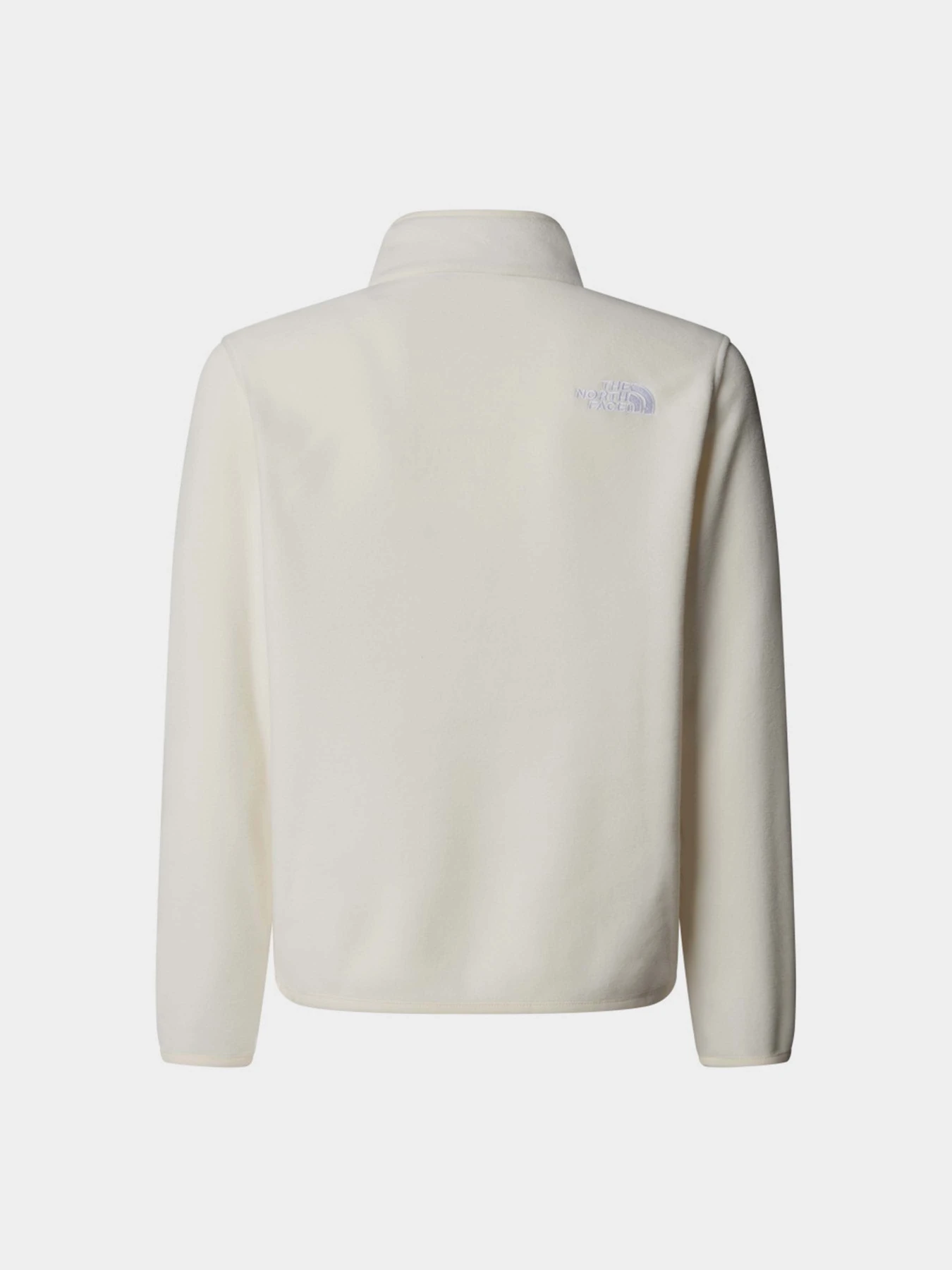 Худи и свитшоты The North Face Glacier модель NF0A8CVGQLI1 Худи и свитшоты The North Face Glacier модель NF0A8CVGQLI1 Фото