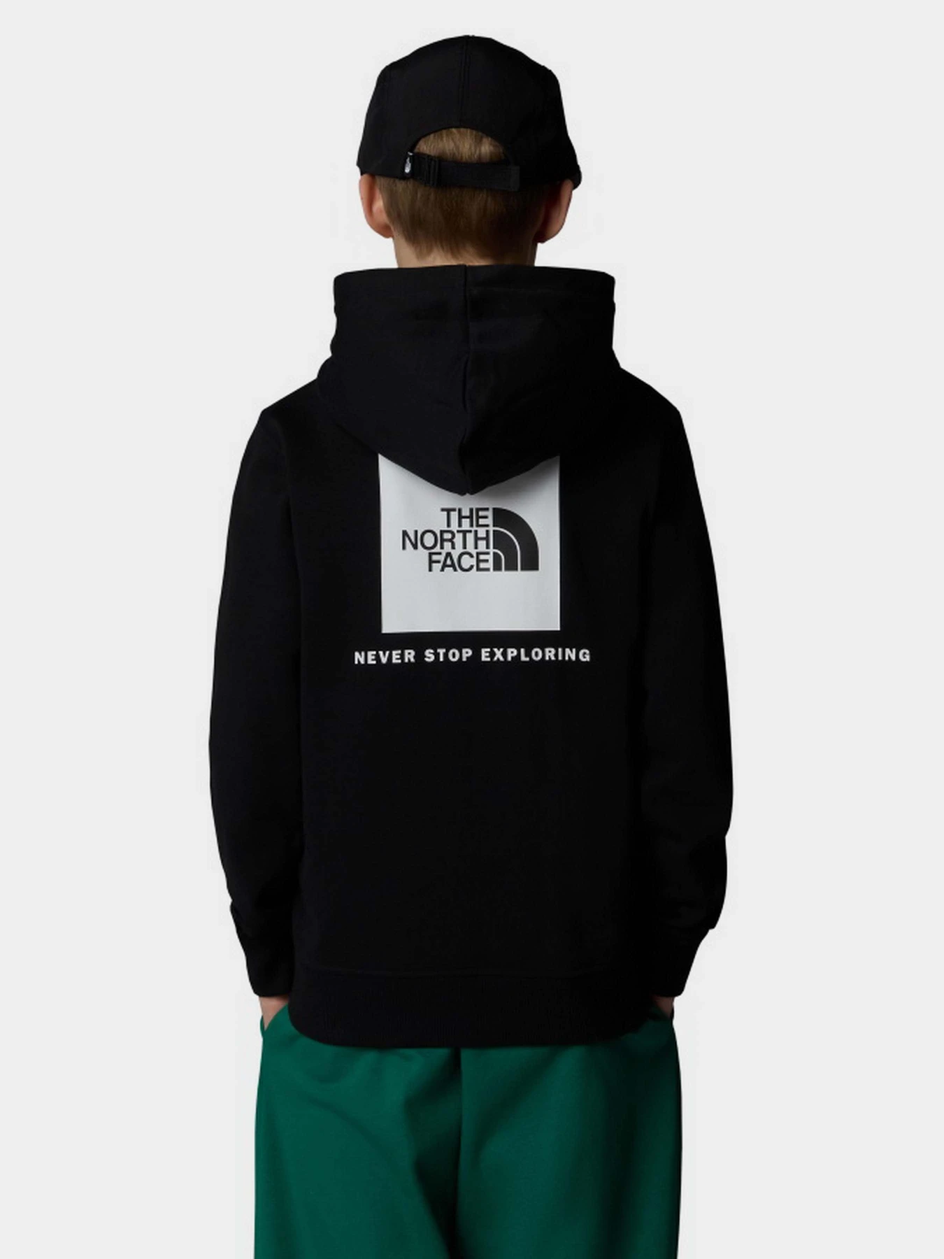 Худи и свитшоты The North Face NSE Box модель NF0A89H9JK31 Худи и свитшоты The North Face NSE Box модель NF0A89H9JK31 Фото