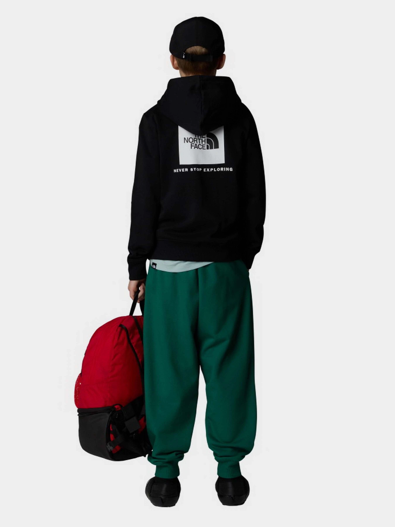 Худи и свитшоты The North Face NSE Box модель NF0A89H9JK31 Худи и свитшоты The North Face NSE Box модель NF0A89H9JK31 Фото