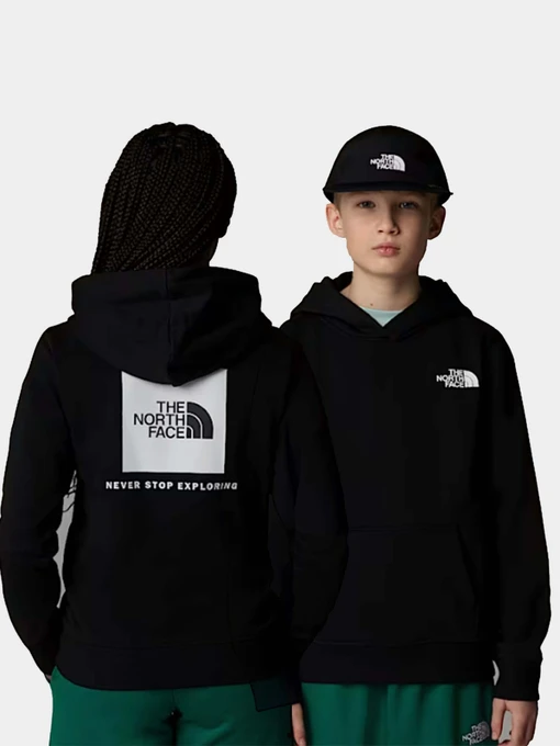 Худі та світшоти The North Face NSE Box модель NF0A89H9JK31 Фото