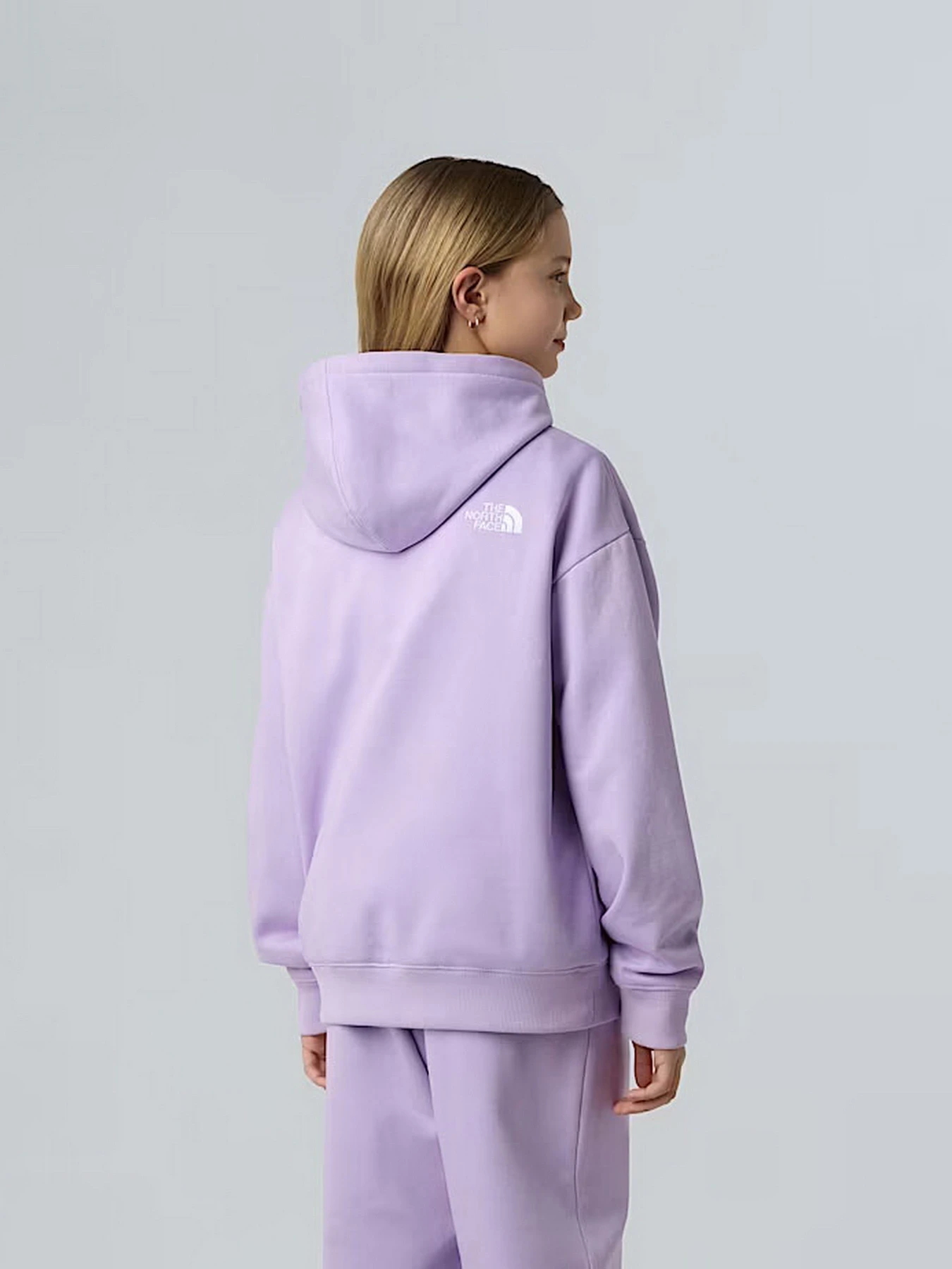 Худи и свитшоты The North Face Essential модель NF0A89HAQZI1 Худи и свитшоты The North Face Essential модель NF0A89HAQZI1 Фото