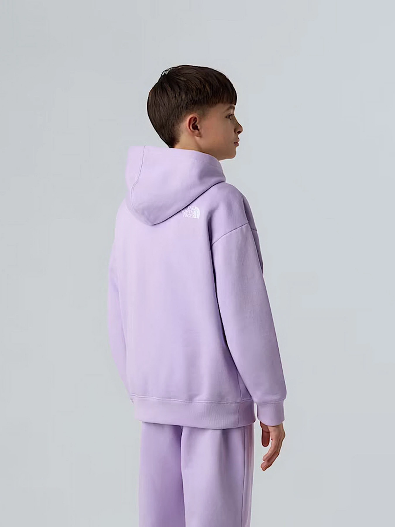 Худи и свитшоты The North Face Essential модель NF0A89HAQZI1 Худи и свитшоты The North Face Essential модель NF0A89HAQZI1 Фото
