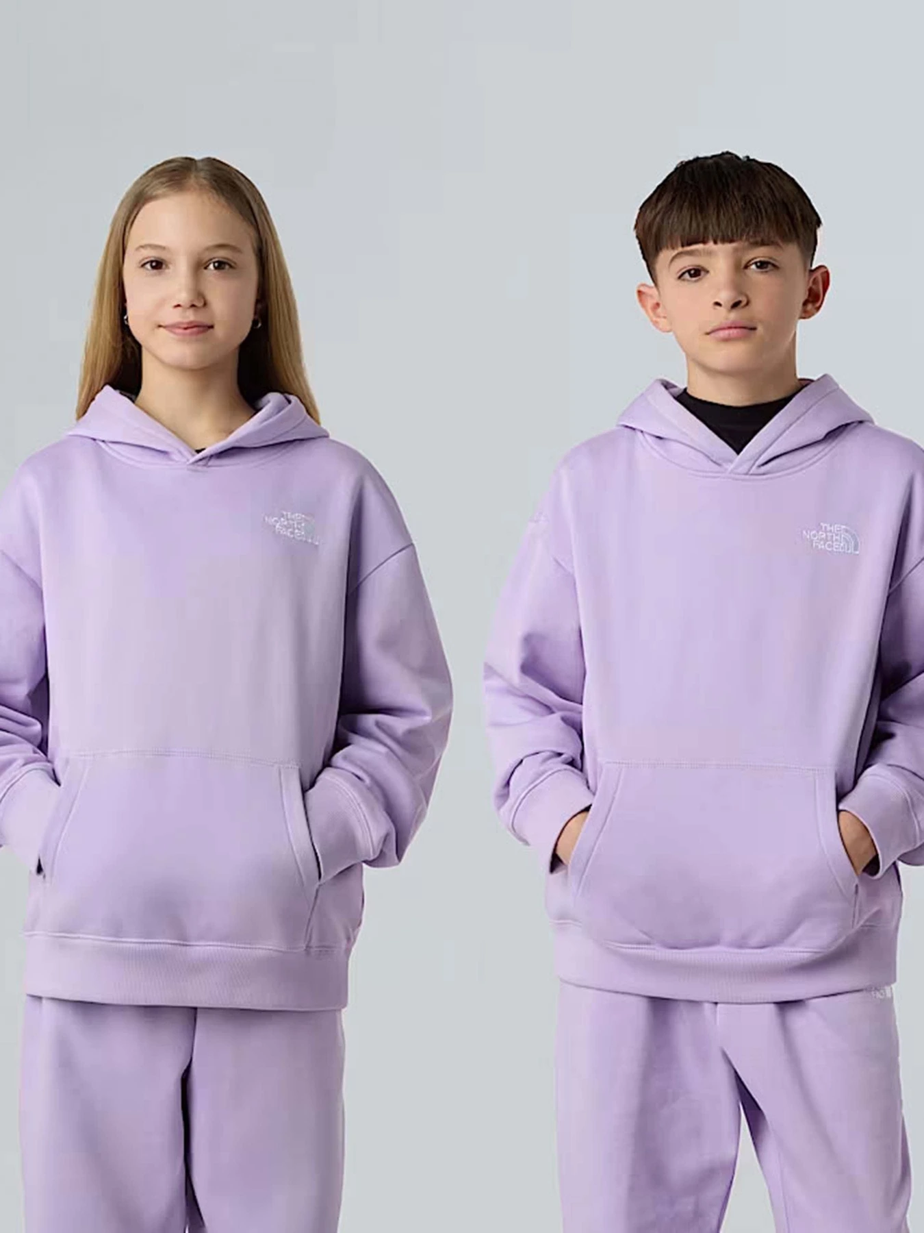 Худи и свитшоты The North Face Essential модель NF0A89HAQZI1 Худи и свитшоты The North Face Essential модель NF0A89HAQZI1 Фото