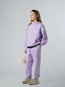 Худи и свитшоты The North Face Essential модель NF0A89HAQZI1 Фото