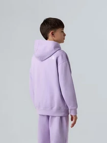 Худи и свитшоты The North Face Essential модель NF0A89HAQZI1 Фото