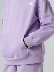 Худи и свитшоты The North Face Essential модель NF0A89HAQZI1 Фото