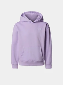 Худи и свитшоты The North Face Essential модель NF0A89HAQZI1 Фото