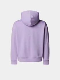 Худи и свитшоты The North Face Essential модель NF0A89HAQZI1 Фото
