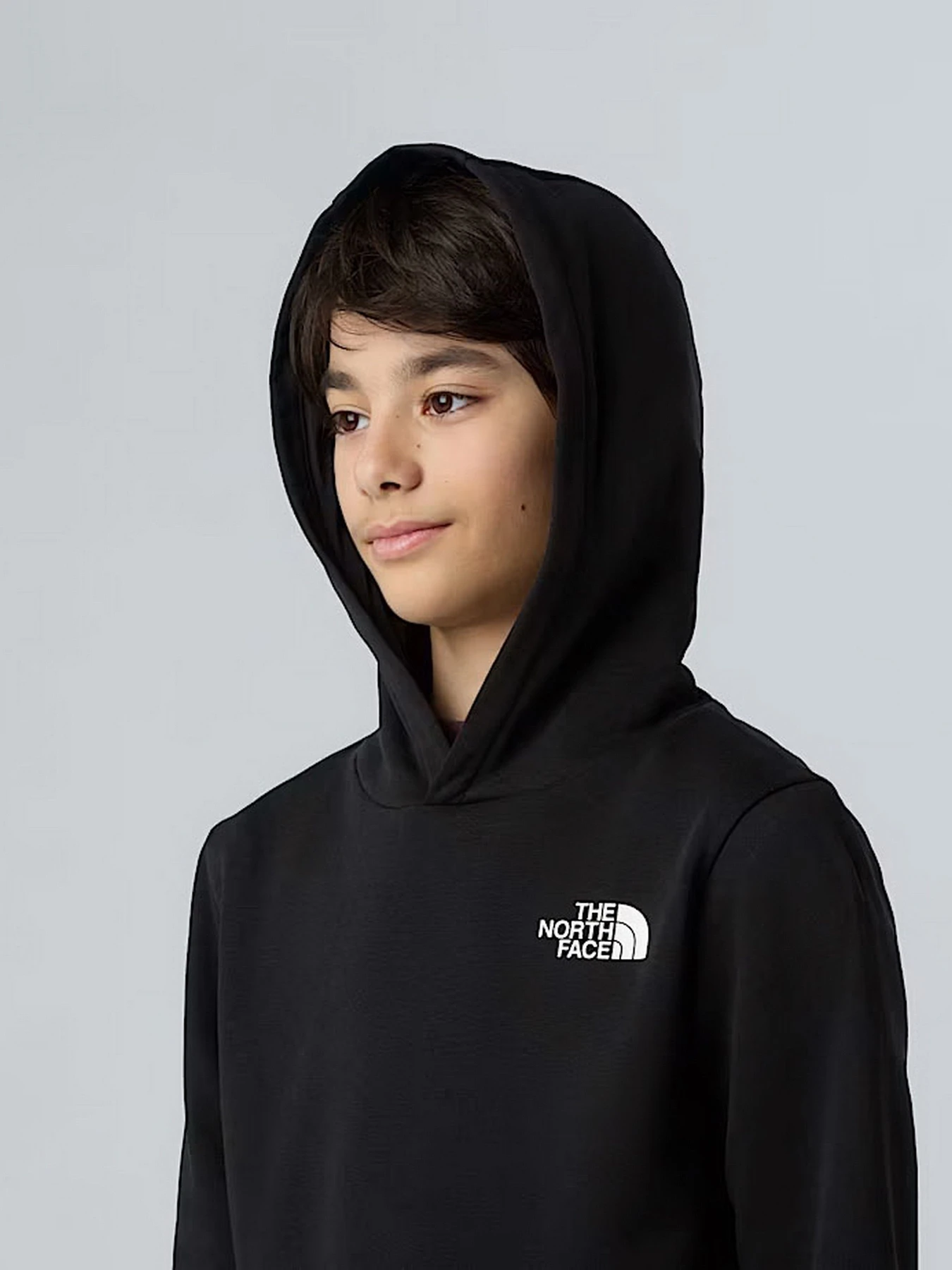 Худі та світшоти The North Face модель NF0A8AXVJK31 Худі та світшоти The North Face модель NF0A8AXVJK31 Фото