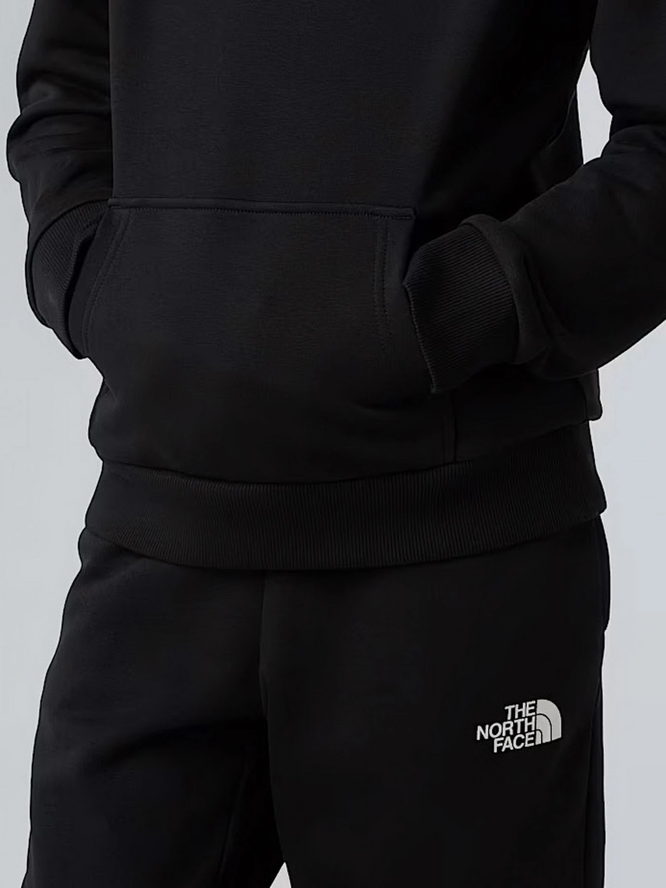 Худі та світшоти The North Face модель NF0A8AXVJK31 Худі та світшоти The North Face модель NF0A8AXVJK31 Фото