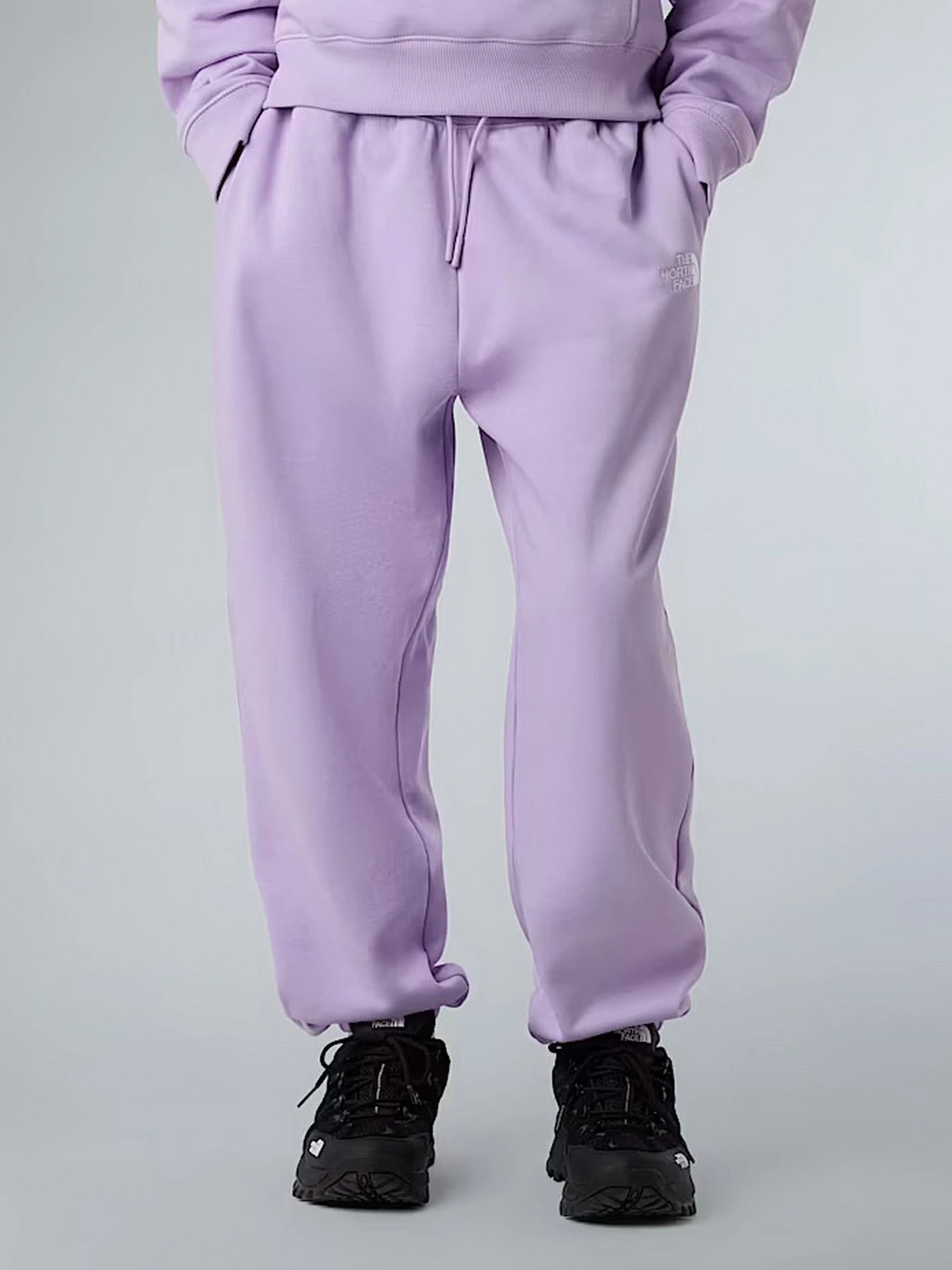 Брюки The North Face Essential модель NF0A8BHSQZI1 Брюки The North Face Essential модель NF0A8BHSQZI1 Фото