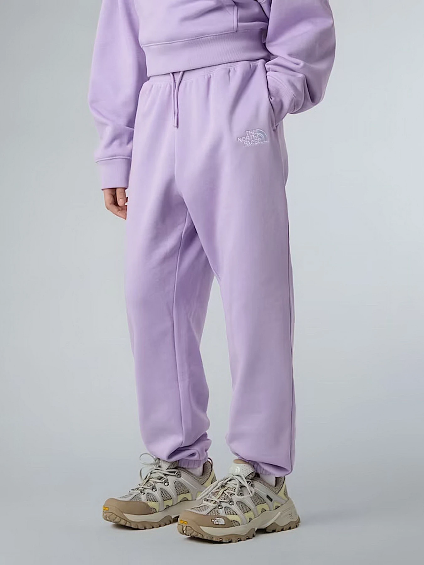 Брюки The North Face Essential модель NF0A8BHSQZI1 Брюки The North Face Essential модель NF0A8BHSQZI1 Фото
