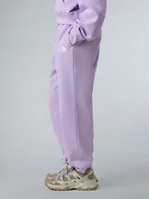 Брюки The North Face Essential модель NF0A8BHSQZI1 Фото