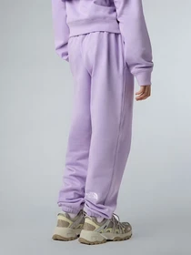 Брюки The North Face Essential модель NF0A8BHSQZI1 Фото