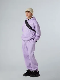 Брюки The North Face Essential модель NF0A8BHSQZI1 Фото