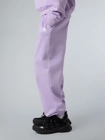 Брюки The North Face Essential модель NF0A8BHSQZI1 Фото