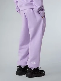 Брюки The North Face Essential модель NF0A8BHSQZI1 Фото