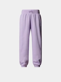 Брюки The North Face Essential модель NF0A8BHSQZI1 Фото