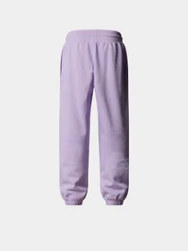 Брюки The North Face Essential модель NF0A8BHSQZI1 Фото