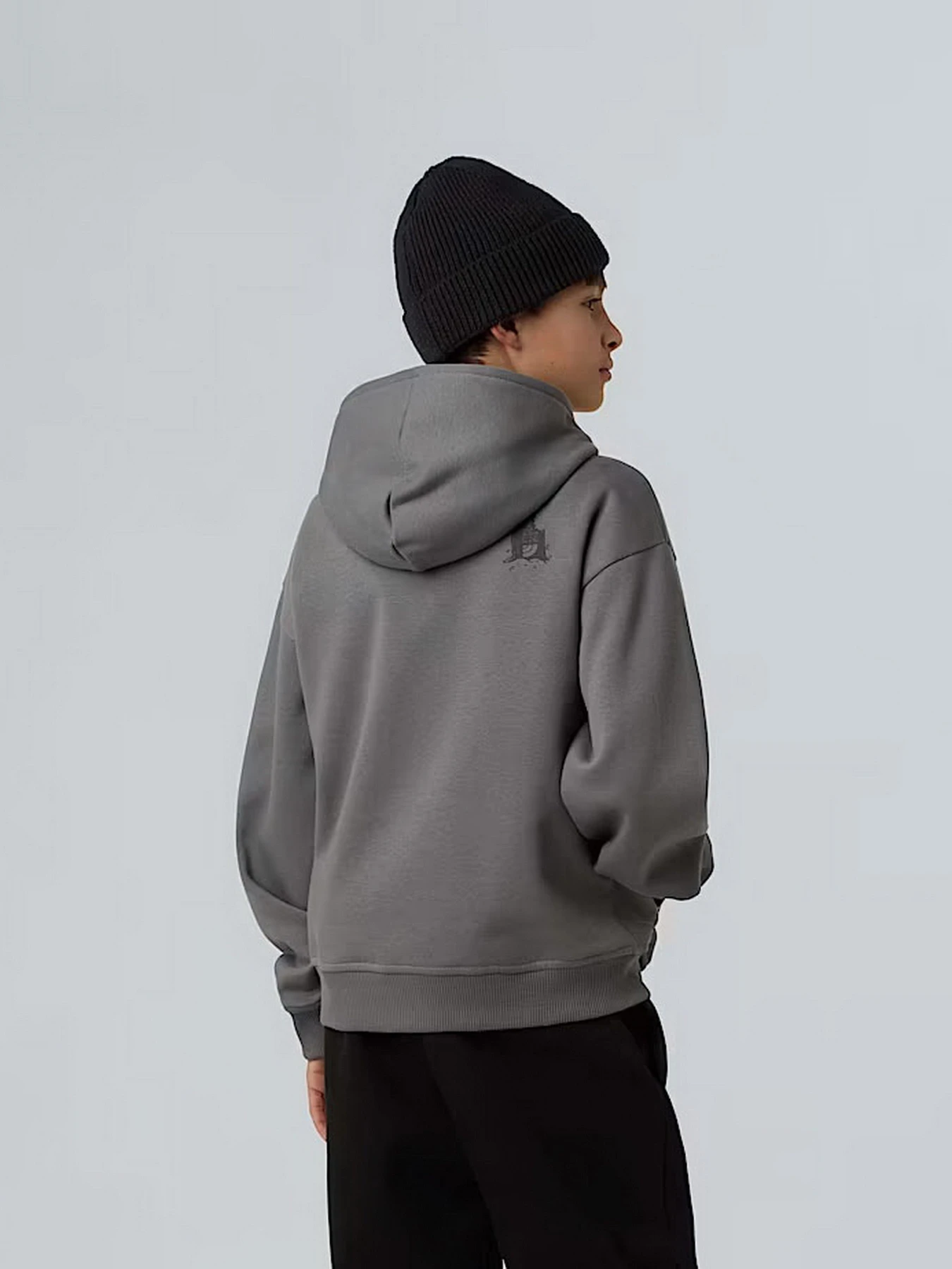 Худи и свитшоты The North Face Sports Oversized модель NF0A8EAM0UZ1 Худи и свитшоты The North Face Sports Oversized модель NF0A8EAM0UZ1 Фото