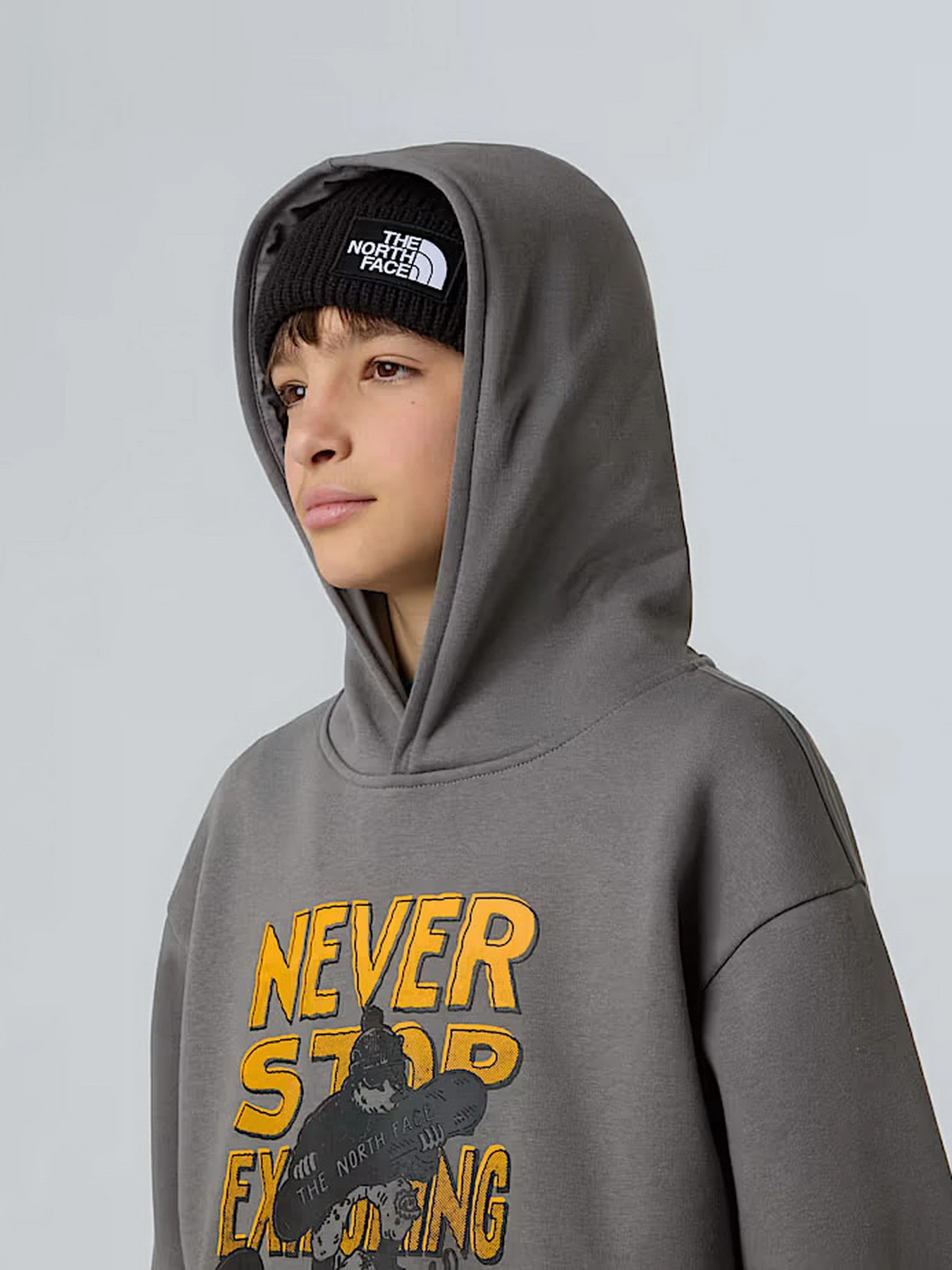 Худи и свитшоты The North Face Sports Oversized модель NF0A8EAM0UZ1 Худи и свитшоты The North Face Sports Oversized модель NF0A8EAM0UZ1 Фото