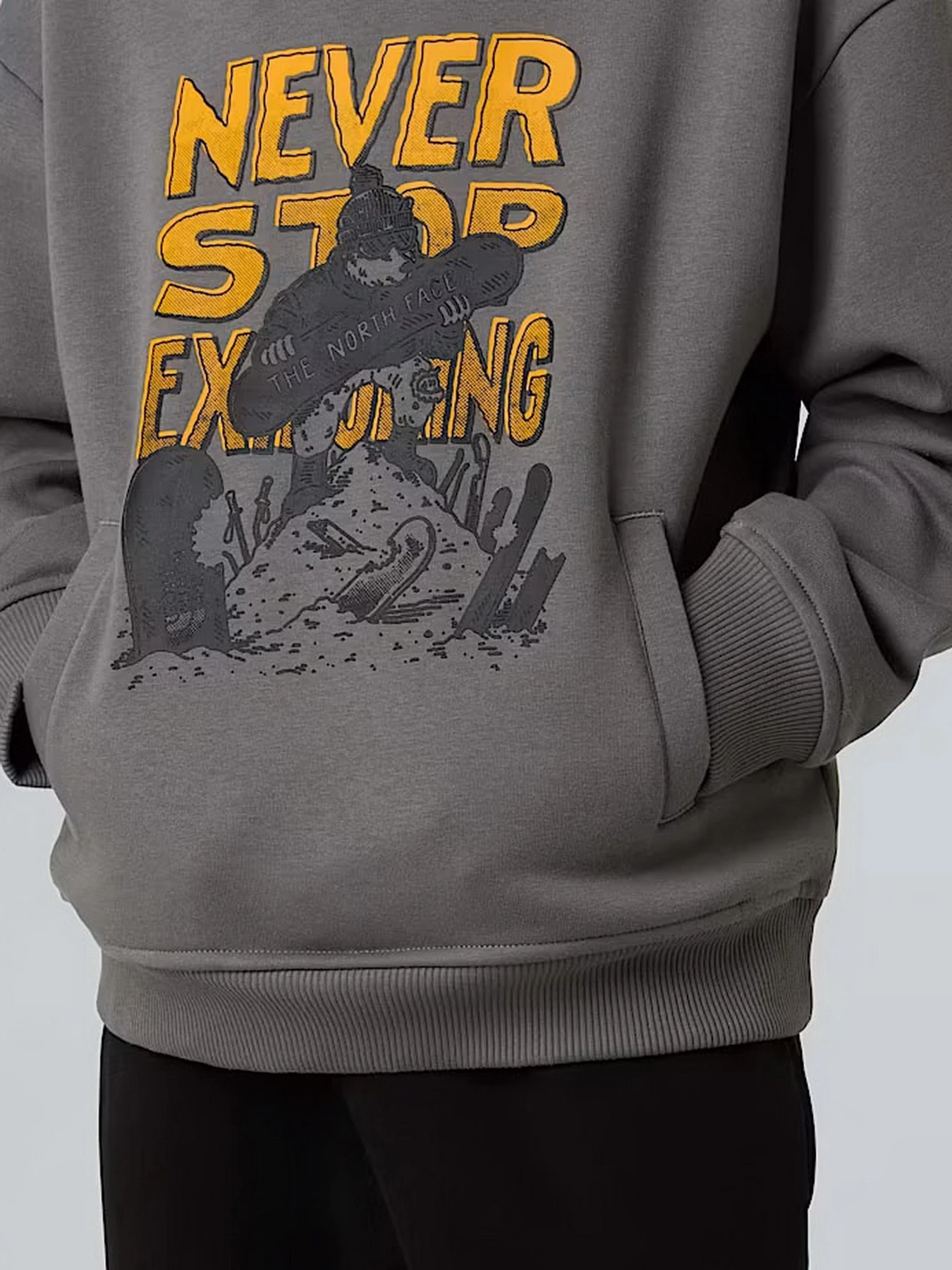 Худи и свитшоты The North Face Sports Oversized модель NF0A8EAM0UZ1 Худи и свитшоты The North Face Sports Oversized модель NF0A8EAM0UZ1 Фото