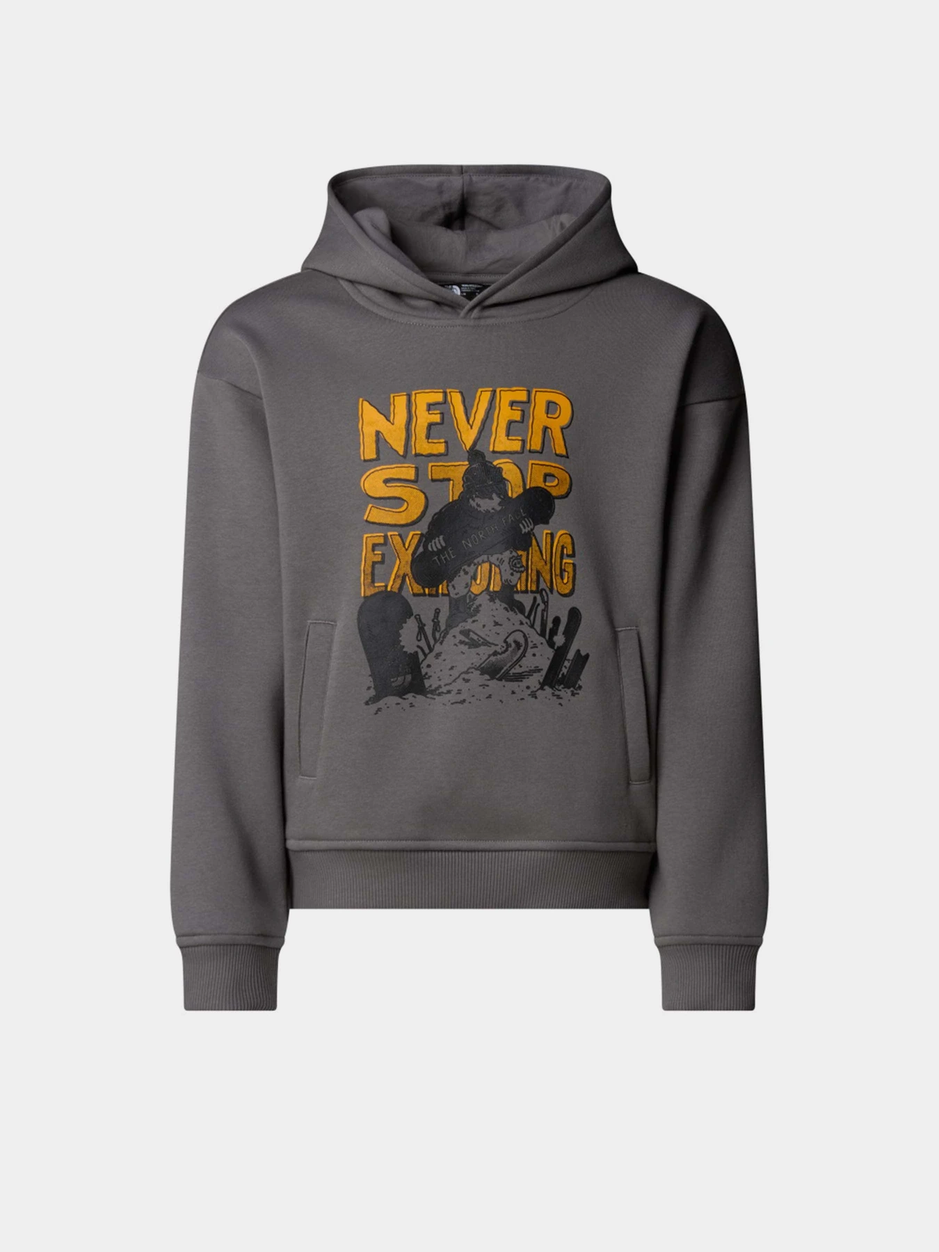 Худи и свитшоты The North Face Sports Oversized модель NF0A8EAM0UZ1 Худи и свитшоты The North Face Sports Oversized модель NF0A8EAM0UZ1 Фото