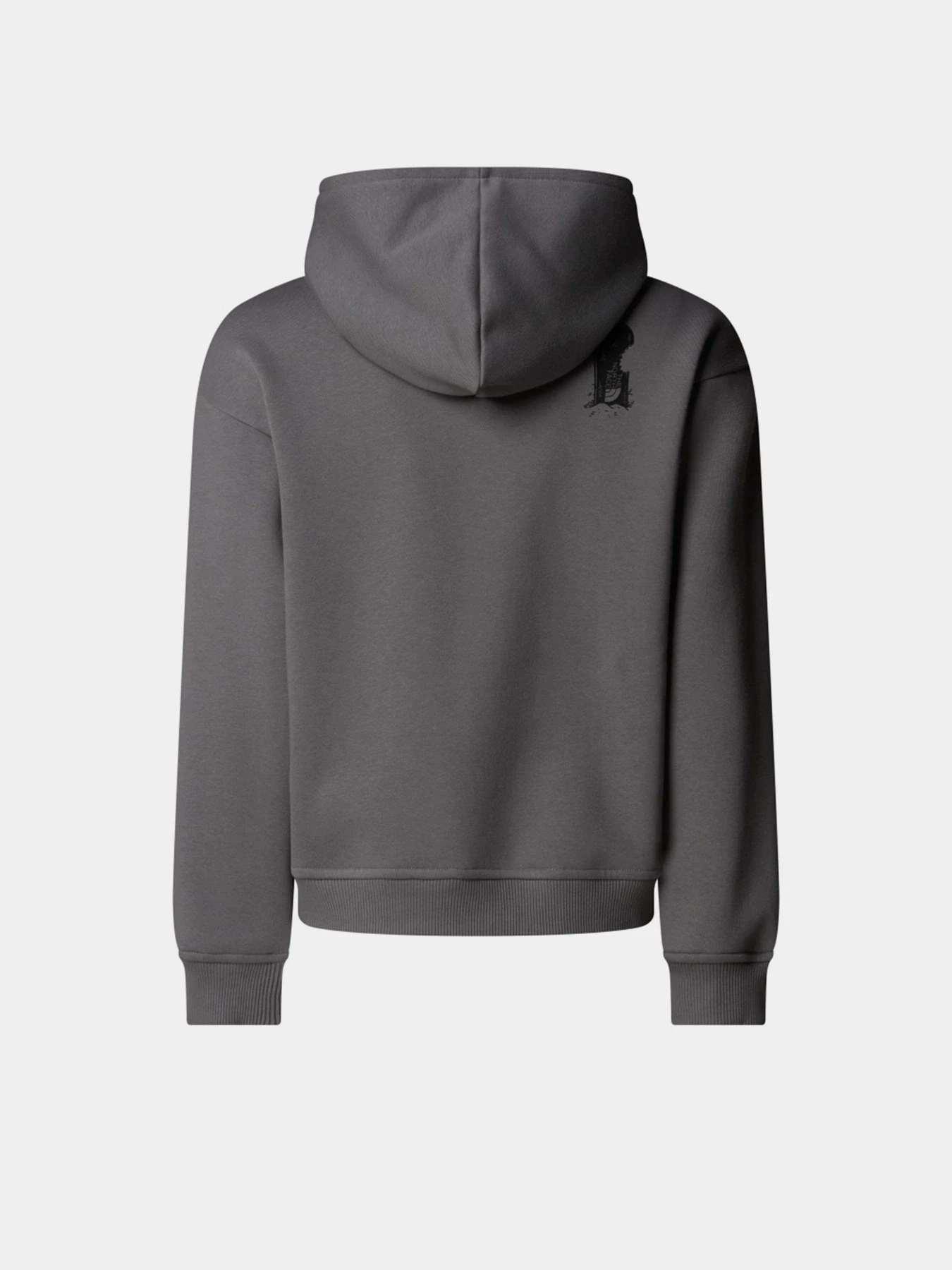 Худи и свитшоты The North Face Sports Oversized модель NF0A8EAM0UZ1 Худи и свитшоты The North Face Sports Oversized модель NF0A8EAM0UZ1 Фото